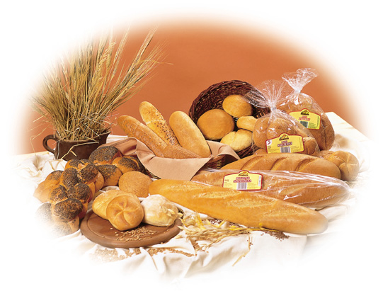 http://www.arionpolbak.com.pl/images/bulki01.jpg